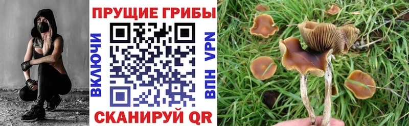 Галлюциногенные грибы мухоморы  Севск 